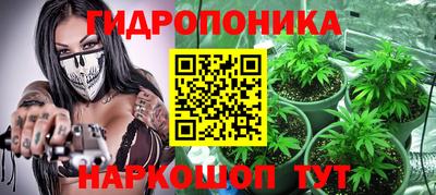 бошки Кинель